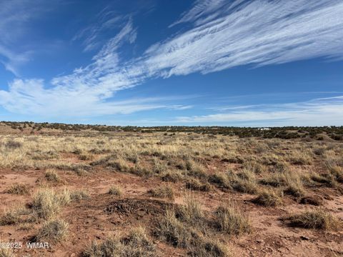 Tiny photo for 9659 E Juniper Berry Trail, Snowflake, AZ 85937 (MLS # 254596)