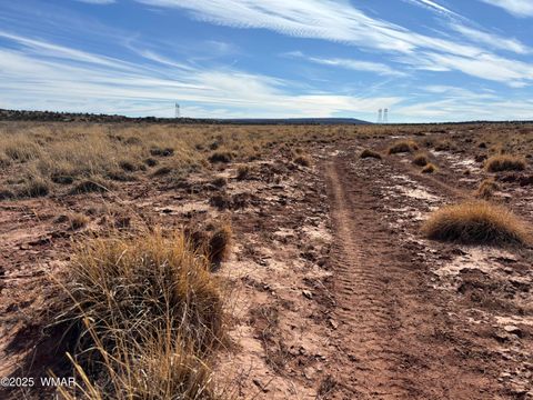 Tiny photo for 9659 E Juniper Berry Trail, Snowflake, AZ 85937 (MLS # 254596)