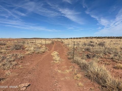 Tiny photo for 9659 E Juniper Berry Trail, Snowflake, AZ 85937 (MLS # 254596)