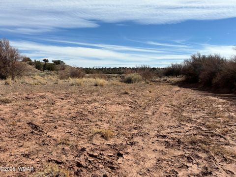 Tiny photo for 9659 E Juniper Berry Trail, Snowflake, AZ 85937 (MLS # 254596)