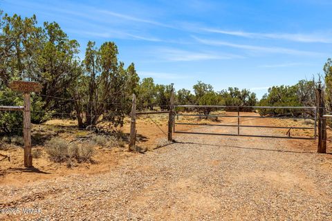 Tiny photo for 3733 Del Contento, Snowflake, AZ 85937 (MLS # 256028)