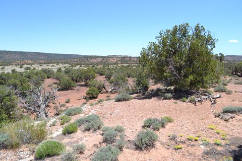 Tiny photo for 3733 Del Contento, Snowflake, AZ 85937 (MLS # 256028)