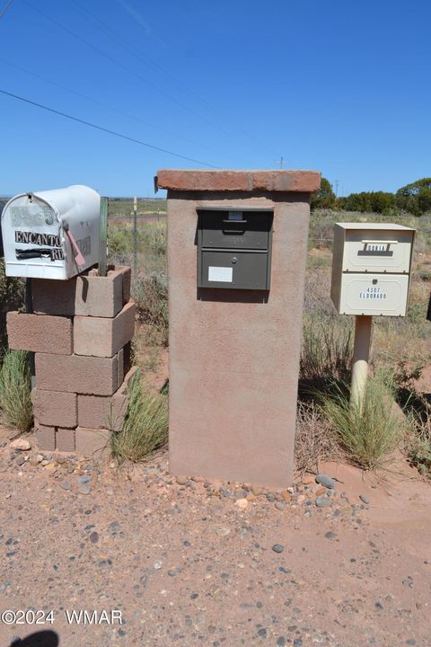 Tiny photo for 3733 Del Contento, Snowflake, AZ 85937 (MLS # 256028)