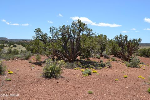 Tiny photo for 3733 Del Contento, Snowflake, AZ 85937 (MLS # 256028)