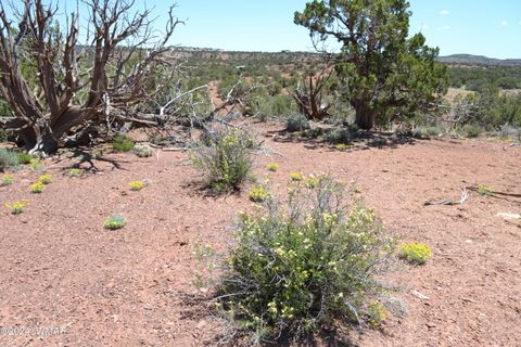 Tiny photo for 3733 Del Contento, Snowflake, AZ 85937 (MLS # 256028)