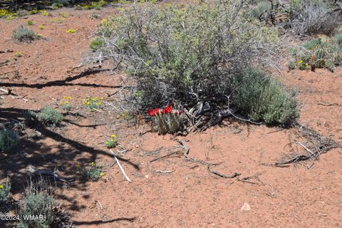 Tiny photo for 3733 Del Contento, Snowflake, AZ 85937 (MLS # 256028)