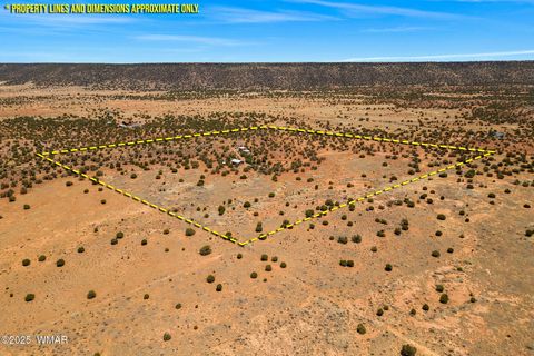 Tiny photo for 3733 Del Contento, Snowflake, AZ 85937 (MLS # 256028)