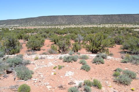 Tiny photo for 3733 Del Contento, Snowflake, AZ 85937 (MLS # 256028)