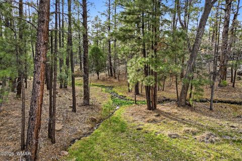 Tiny photo for 2900 Springer Mountain Drive, Lakeside, AZ 85929 (MLS # 260263)