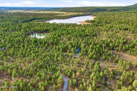 Tiny photo for 2900 Springer Mountain Drive, Lakeside, AZ 85929 (MLS # 260263)