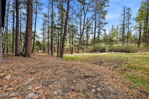 Tiny photo for 2900 Springer Mountain Drive, Lakeside, AZ 85929 (MLS # 260263)