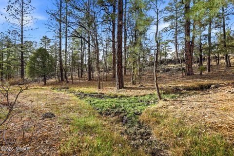 Tiny photo for 2900 Springer Mountain Drive, Lakeside, AZ 85929 (MLS # 260263)