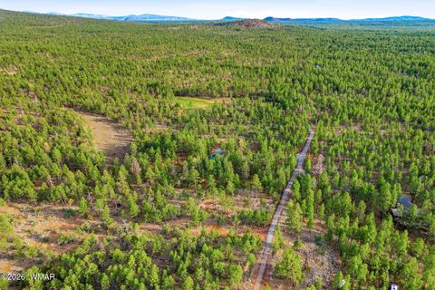 Tiny photo for 2900 Springer Mountain Drive, Lakeside, AZ 85929 (MLS # 260263)