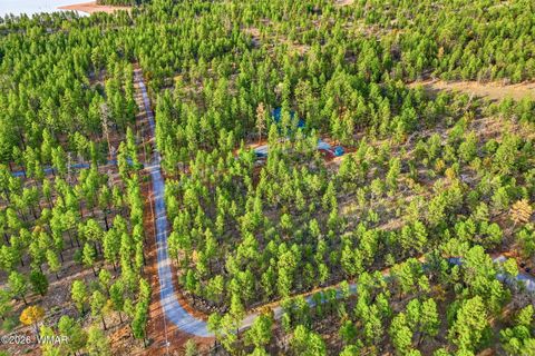 Tiny photo for 2900 Springer Mountain Drive, Lakeside, AZ 85929 (MLS # 260263)