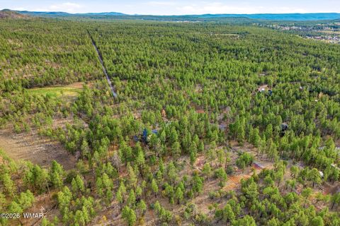Tiny photo for 2900 Springer Mountain Drive, Lakeside, AZ 85929 (MLS # 260263)