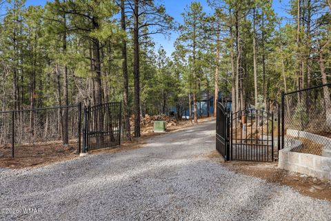 Tiny photo for 2900 Springer Mountain Drive, Lakeside, AZ 85929 (MLS # 260263)