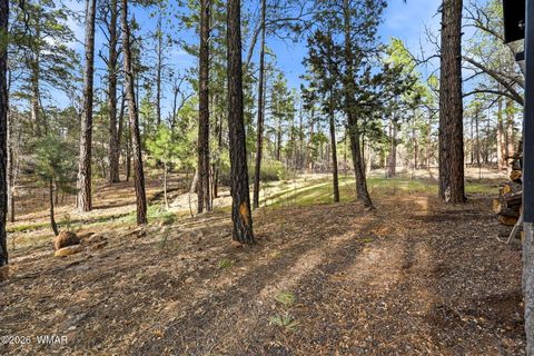 Tiny photo for 2900 Springer Mountain Drive, Lakeside, AZ 85929 (MLS # 260263)