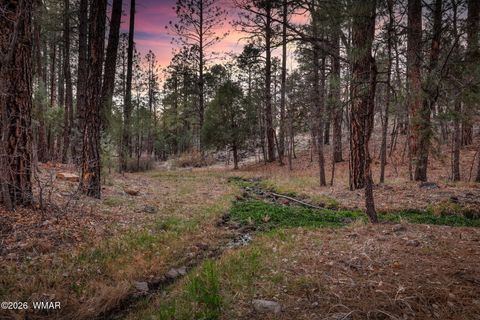 Tiny photo for 2900 Springer Mountain Drive, Lakeside, AZ 85929 (MLS # 260263)