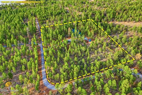 Tiny photo for 2900 Springer Mountain Drive, Lakeside, AZ 85929 (MLS # 260263)