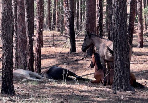 Tiny photo for 4520 W Tatanka Loop, Show Low, AZ 85901 (MLS # 259827)