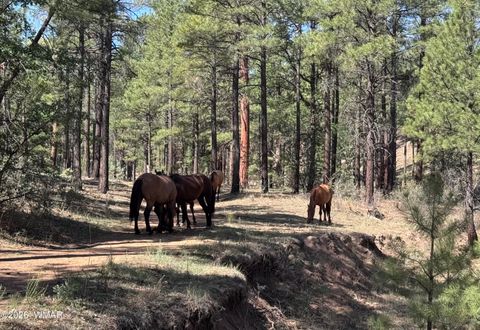 Tiny photo for 4520 W Tatanka Loop, Show Low, AZ 85901 (MLS # 259827)