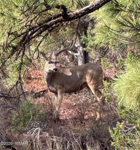 Tiny photo for 4520 W Tatanka Loop, Show Low, AZ 85901 (MLS # 259827)