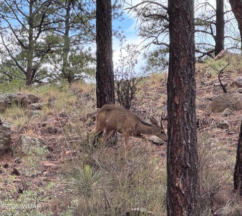 Tiny photo for 4520 W Tatanka Loop, Show Low, AZ 85901 (MLS # 259827)