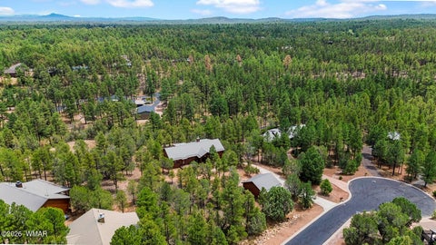 Tiny photo for 1601 N Mustang Circle, Show Low, AZ 85901 (MLS # 262325)