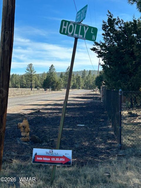 Tiny photo for 9211 Holly Lane, Lakeside, AZ 85929 (MLS # 259697)