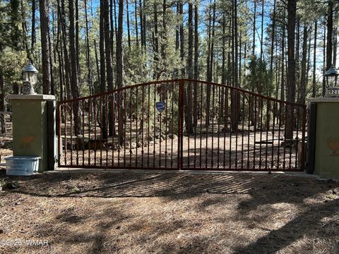 Tiny photo for 9211 Holly Lane, Lakeside, AZ 85929 (MLS # 259697)