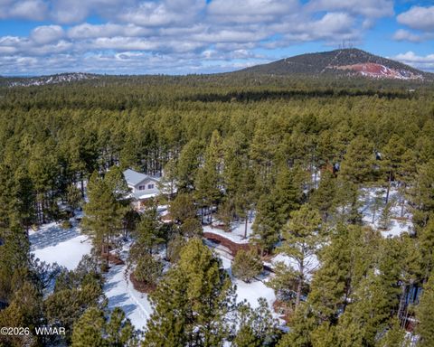 Tiny photo for 9211 Holly Lane, Lakeside, AZ 85929 (MLS # 259697)