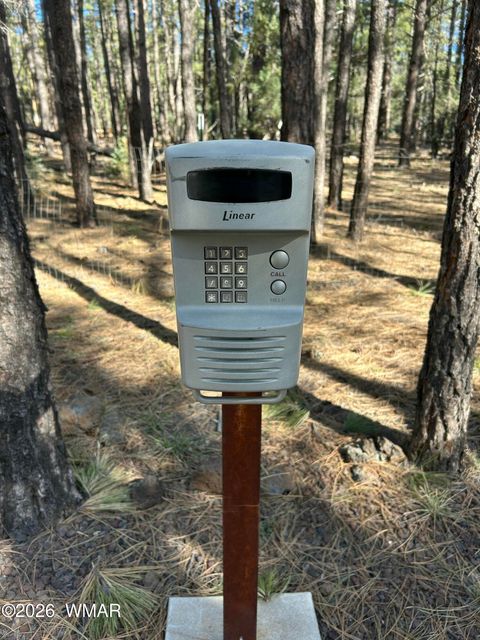 Tiny photo for 9211 Holly Lane, Lakeside, AZ 85929 (MLS # 259697)