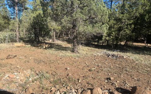 Tiny photo for TBD Rodgers Road, Lakeside, AZ 85929 (MLS # 258904)