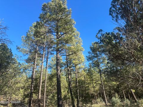 Tiny photo for TBD Rodgers Road, Lakeside, AZ 85929 (MLS # 258904)