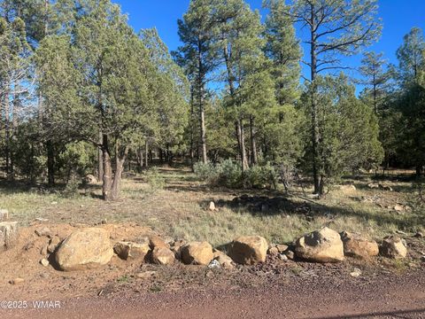 Photo of TBD Rodgers Road, Lakeside, AZ 85929 (MLS # 258904)