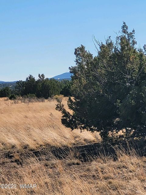 Tiny photo for 7693 Arroyo Plata Drive, Show Low, AZ 85901 (MLS # 248611)