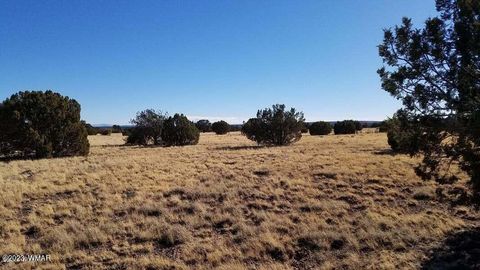 Tiny photo for 7693 Arroyo Plata Drive, Show Low, AZ 85901 (MLS # 248611)