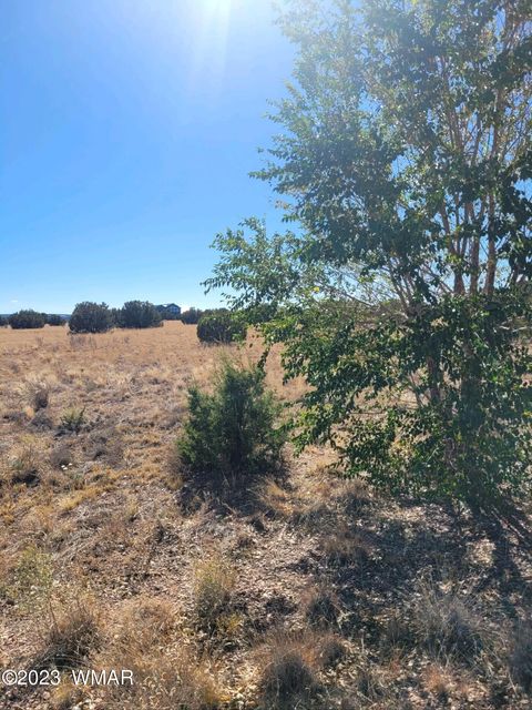 Tiny photo for 7693 Arroyo Plata Drive, Show Low, AZ 85901 (MLS # 248611)