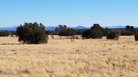 Tiny photo for 7693 Arroyo Plata Drive, Show Low, AZ 85901 (MLS # 248611)