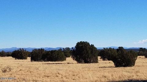 Tiny photo for 7693 Arroyo Plata Drive, Show Low, AZ 85901 (MLS # 248611)