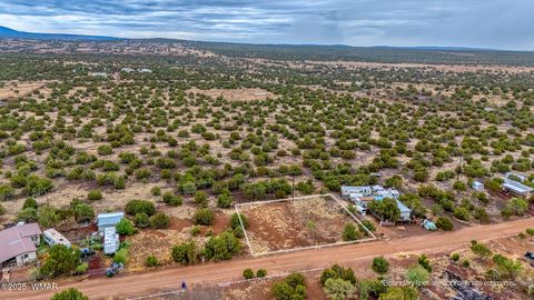 Tiny photo for 8429 Snowflake Circle, Show Low, AZ 85901 (MLS # 257153)