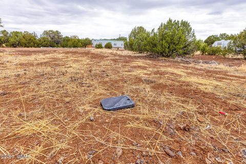 Tiny photo for 8429 Snowflake Circle, Show Low, AZ 85901 (MLS # 257153)