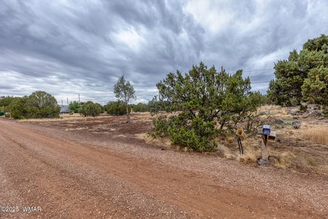 Tiny photo for 8429 Snowflake Circle, Show Low, AZ 85901 (MLS # 257153)