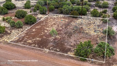 Tiny photo for 8429 Snowflake Circle, Show Low, AZ 85901 (MLS # 257153)