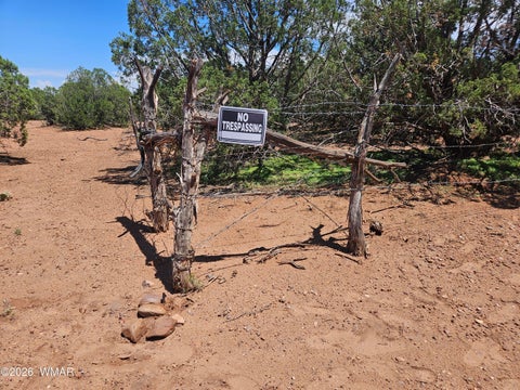Photo of 3981 Apache Road, Snowflake, AZ 85937 (MLS # 262591)