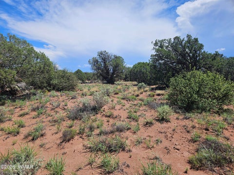 Tiny photo for 3981 Apache Road, Snowflake, AZ 85937 (MLS # 262591)