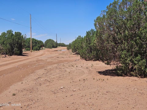 Tiny photo for 3981 Apache Road, Snowflake, AZ 85937 (MLS # 262591)