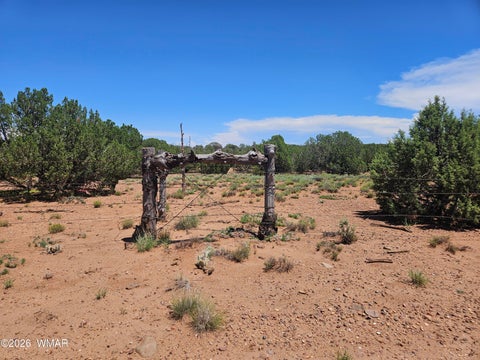 Tiny photo for 3981 Apache Road, Snowflake, AZ 85937 (MLS # 262591)