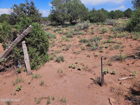 Tiny photo for 3981 Apache Road, Snowflake, AZ 85937 (MLS # 262591)
