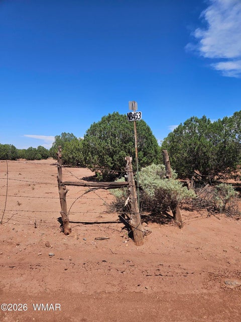 Tiny photo for 3981 Apache Road, Snowflake, AZ 85937 (MLS # 262591)